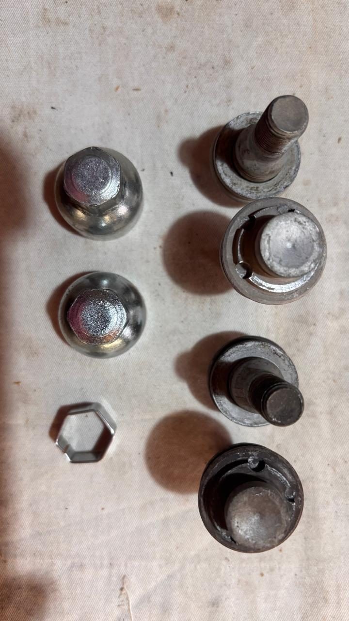Foto 1 del trabajo de Horacio